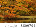 3609794