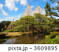 兼六園　雪吊り