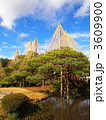 兼六園　雪吊り