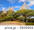 兼六園　雪吊り