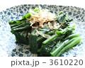 ほうれん草のおひたし