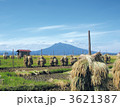 岩木山　秋