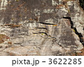 3622285