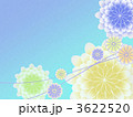 3622520