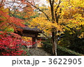 寂光院の秋景色