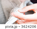 3624206
