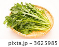 春菊