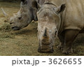 サイ１