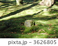 「わらべ地蔵」（秋の京都大原三千院）
