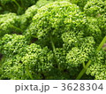 パセリ