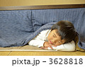 こたつ
