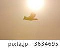 朝日を受けて