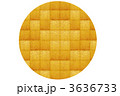 3636733