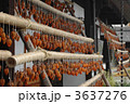 塩山甘草屋敷の干し柿作り