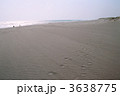 中田島砂丘