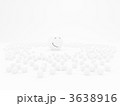 3638916