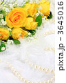 黄色い薔薇とパール