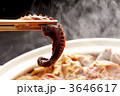 3646617