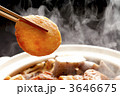 3646675
