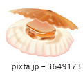 ホタテ