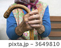 3649810