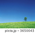 3650043