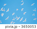3650053