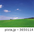 3650114