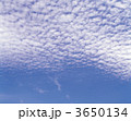 3650134