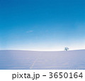 3650164