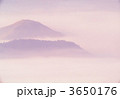 3650176
