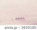 3650180