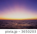 3650203