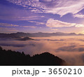 3650210