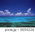 3650226