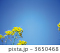 3650468