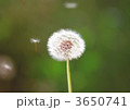 3650741