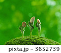 3652739