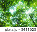 3653023
