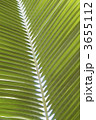 3655112