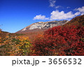 秋の紅葉の大山