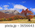 秋の紅葉の奥大山スキー場