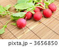 ラディッシュ