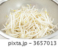 洗いたてのモヤシ