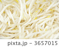 おいしいモヤシ