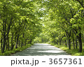 3657361