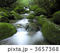 3657368