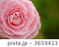 3659413