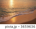 3659636
