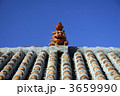 3659990
